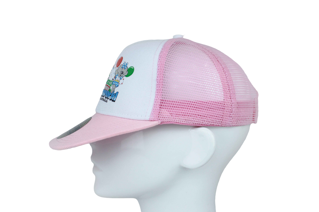 Dreamworld Cap Flatpeak Pink