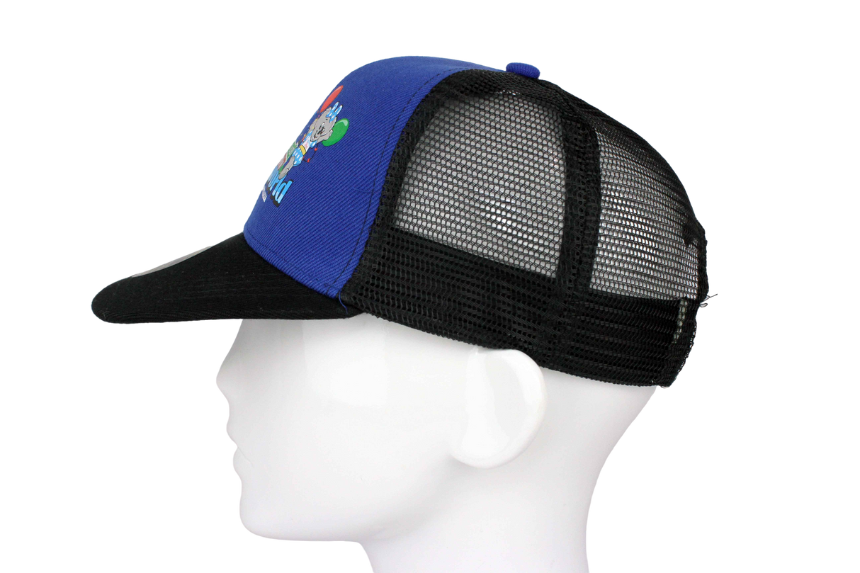 Dreamworld Cap Flatpeak Blue